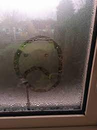 Why does my conservatory floor get wet. How To Prevent Condensation In Your Conservatory