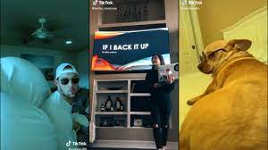 If i back it up is it fat enough. If I Back It Up Is It Fat Enough Cookie Kawaii Vibe Tiktok Memes Youtube