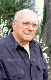 The Ivory-billed Woodpecker