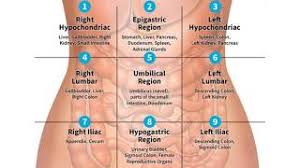 Check spelling or type a new query. Quadrants And Regions Of Abdomen Nursing Knowledge Youtube