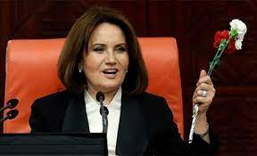 İçişleri bakanlığı 1995 yılında doğru yol partisi (dyp) kadın kolları başkanı olan meral akşener, ilk defa 1995 türkiye genel seçimlerinde dyp kocaeli milletvekili olarak meclise girdi. Meral Aksener Kimdir Hakkinda Bilgi