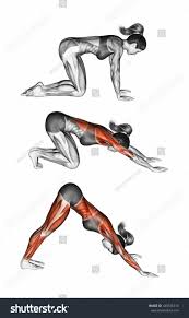 Resultado de imagen para ADHO MUKHA SVANASANA
