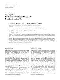 Check spelling or type a new query. Pdf Predominantly Fibrous Malignant Mesothelioma In A Cat