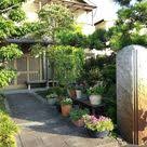 吉他詩人 施夢濤老師 古典吉他教學 日本風情畫 9澄清湖盧森湖琵琶湖我遠離了江湖卻拋不盡水邊底思念邀來六月的南風與我心愛的六弦 plants