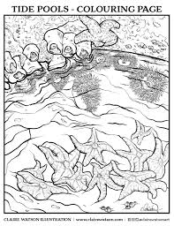 The coloring pages can bring a tremendous amount of benefits and advantages in colorful ways in your. Colouring Pages Blog Claire Watson