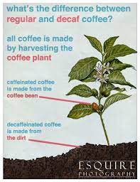 Check Out This Simple Infographic Explaining The Difference Between Coffee Decaffeinated Coffee Caffeine Decaffeinated Coffee Decaf Coffee Decaffeinated