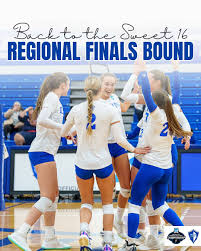 SWEET, SWEET VICTORY!!! We are headed back to the regional finals after a  3-2 win over Embry-Riddle. See you all again tomorrow at 5 PM !!!!