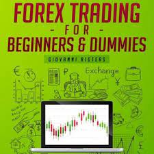 Forex Trading For Beginners Dummies Audiobook By Giovanni Rigters Rakuten Kobo Forex Trading Forex Beginner Forex