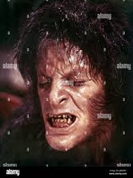 David naughton hi-res stock photography and images