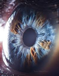 14 Fotos Von Augen Die Gleichzeitig Wunderschon Und Gruselig Sind Augen Fotografie Verruckte Augen Gruselig