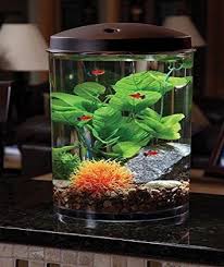 Api Aquaview 360 Aquarium Kit With Led Lighting And Internal Power Filter 6 Gallon All About Betta Fish Tanks Aquarios Incriveis Ideias De Aquario Mini Aquario