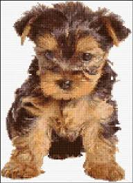 Go cross stitch crazy with our huge selection of free cross stitch patterns! Modern Cat Cross Stitch Patterns Novocom Top
