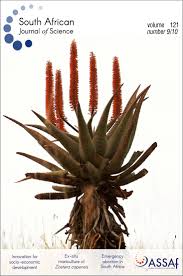 Image result for Zostera capensis