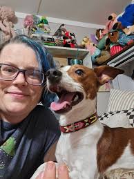 Weimaraner accepting new little brother slowly