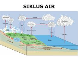 Check spelling or type a new query. Gambar Poster Tentang Dampak Siklus Air Bagi Kehidupan Penggambar