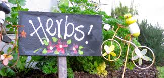 Remove any spreading material immediately. About Home Herb Gardens Home Herb Gardens