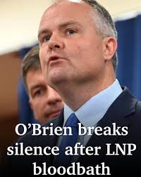A Qld MP at the heart of the LNP's unpopular energy plan has broken his  silence after his party's historically bad performance.  https://bit.ly/3GE7KWC