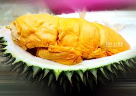 Bibit durian bawor di hasilkan dari berbagai macam spesies durian unggul dan dijadikan satu batang dengan. D168 Hjh Hasmah Durian Ioi Duriotourism Durian Lovers