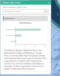 Related Table Charts Widget Portal For Arcgis Arcgis