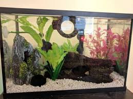 Made from polished glass, this product is safe to use in freshwater aquariums and will not affect the water column's a surf stone material for decorating your betta fish tank. Glass Surfing And Tail Biting Betta Fish Forum