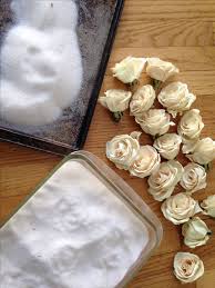 This is an easy and very effective drying method, especially with delicate flowers. Silica Gel Flower Drying Shefalitayal