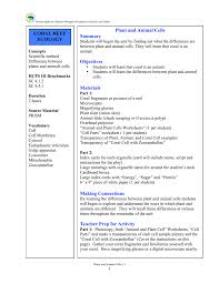 We did not find results for: Plant And Animal Cells 1 1