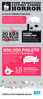 Pig Farming Cruelty In New Zealand 1 5 Pig Farming Why Vegan Infographic