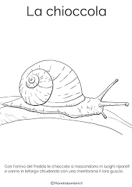 Disegni Di Animali Che Vanno In Letargo Da Colorare Disegnare Animali Animali Disegni