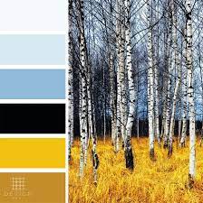 Birch Tree Color Palette Color Palette Yellow Black Color Palette Blue Shades Colors