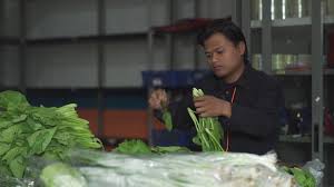 Kini, memperoleh penghasilan lewat tiktok terbilang sangat mudah. Afif Fuad Saidi On Twitter 2 Jika Anda Orang Jawa Timur Maka Akan Sering Melihat Mini Market Dg Khas Warna Hijau Entah Berapa Ratus Jumlahnya Penantang 2 Mini Market Raksasa Itu Adalah