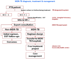 Flow Chart Of Diagnosis And Treatment Mdr Tb Multidrug