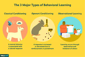 The Basics Of The Psychology Of Learning Illustration By Jr Bee Verywell Learning Psychology Observational Learning Classical Conditioning Psychology