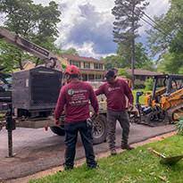 They offer tree surveys, tree removal and other services. Tree Services Atlanta Georgia Stump Grinding Emergency Removal Companies Hernandez Tree Service