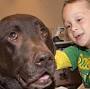 Profile Picture of Sue and Eugene Bosart give to Animal Assisted Therapy at ... (@beaumont.org) on Google
