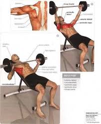 Press Banca Inclinado En Barra Ejercicios De Entrenamiento Ejercicios Ejercicios Musculacion