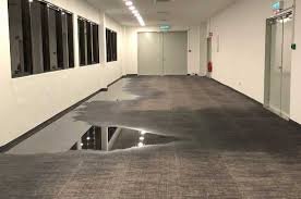 Here are a few types of mold that may have started growing in your wet carpet and what you can do to avoid the problem next time. How To Dry Wet Carpet Fast How To Get Water Out Of Carpet