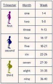 Today, there are many calculators for converting one value to another and vice versa. If I Am 16 Weeks Pregnant How Many Months Is That The Bump