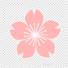 Because a cherry blossom can't stand alone without something to hold it. Download Sakura Png Clipart Cherry Blossom Clip Art Cherry Blossom Drawing Png Image With No Background Pngkey Com