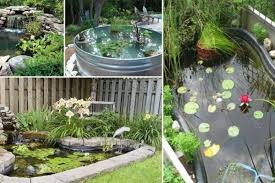 Mudah dirawat, ini 5 tanaman sukulen indoor untuk hiasi rumahmu Punya Kolam Ikan Outdoor Di Rumah Wajib Terapkan 6 Tips Ini
