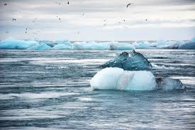 As you can see, that's a pretty good result. The Climate Momentum Has Reached Blackrock Now Let S Get Down To Business Dejusticia