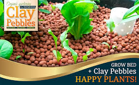 We did not find results for: Amazon Com Organic Expanded Clay Pebbles Grow Media For Orchids Hydroponics Aquaponics Aquaculture Garden 2 Lb Cz Expanded Clay Pellets Garden Outdoor