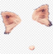 Check spelling or type a new query. Wolf Dog Filter Snapchat Socialmedia Stickers Freetoedi Snapchat Filters Png Stikers Png Image With Transparent Background Toppng
