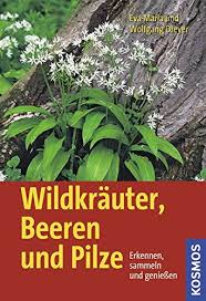 Ls models ls land issue 04 fairyland rar the wire. Bvs Eopac Verbundkatalog Rheinland Pfalz