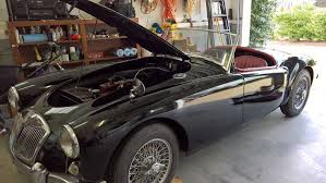 Steve Weitzner (steveweitzner)