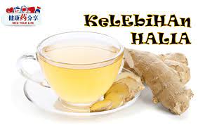 It is prepared like english tea with milk although it contains the added. Kelebihan Halia Yang Mungkin Anda Tidak Tahu Alpro Pharmacy
