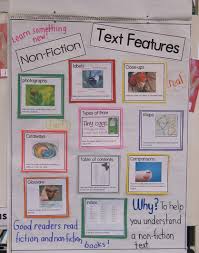 Text Features Anchor Chart