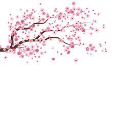 Cherry flowers friendly live petal. Cherry Blossom Falling Sticker By Kkday Ph For Ios Android Giphy