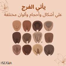 افضل انواع الكس - saivaaracottages.fi