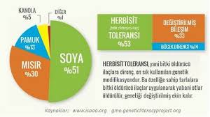 Gdo Nedir Ne Degildir Ulkemizdeki Politikalar Nedir Bilimselanne Com Politika Genetik Ot Ilaci