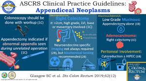 The American Society Of Colon And Rectal Surgeons Clinical Diseases Of The Colon Rectum